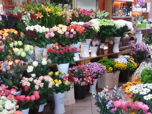 Blumenfachgeschäft - Blumen Geißler Blumenfachgeschäft - Blumen Geißler